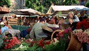 To Catch a Thief (1955)Boulevard Jean Jaurès, Nice, France and flowers